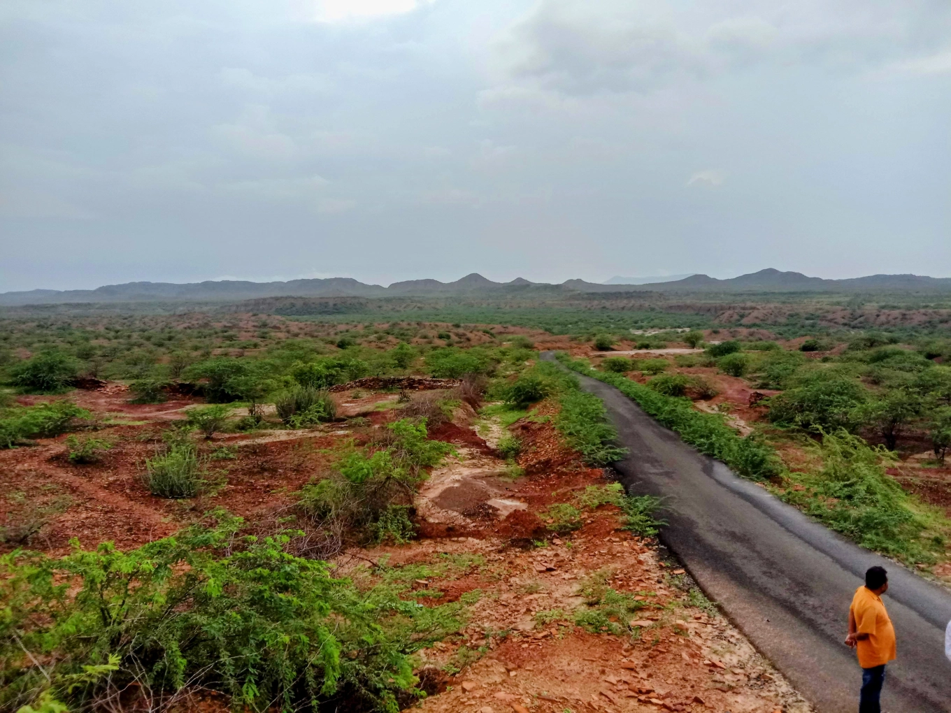 Scenic countryside road in Kutch Gujarat
